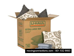 Extra Large Moving Box